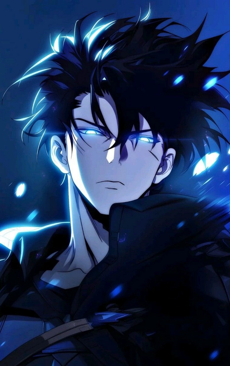 hình nền solo leveling 48