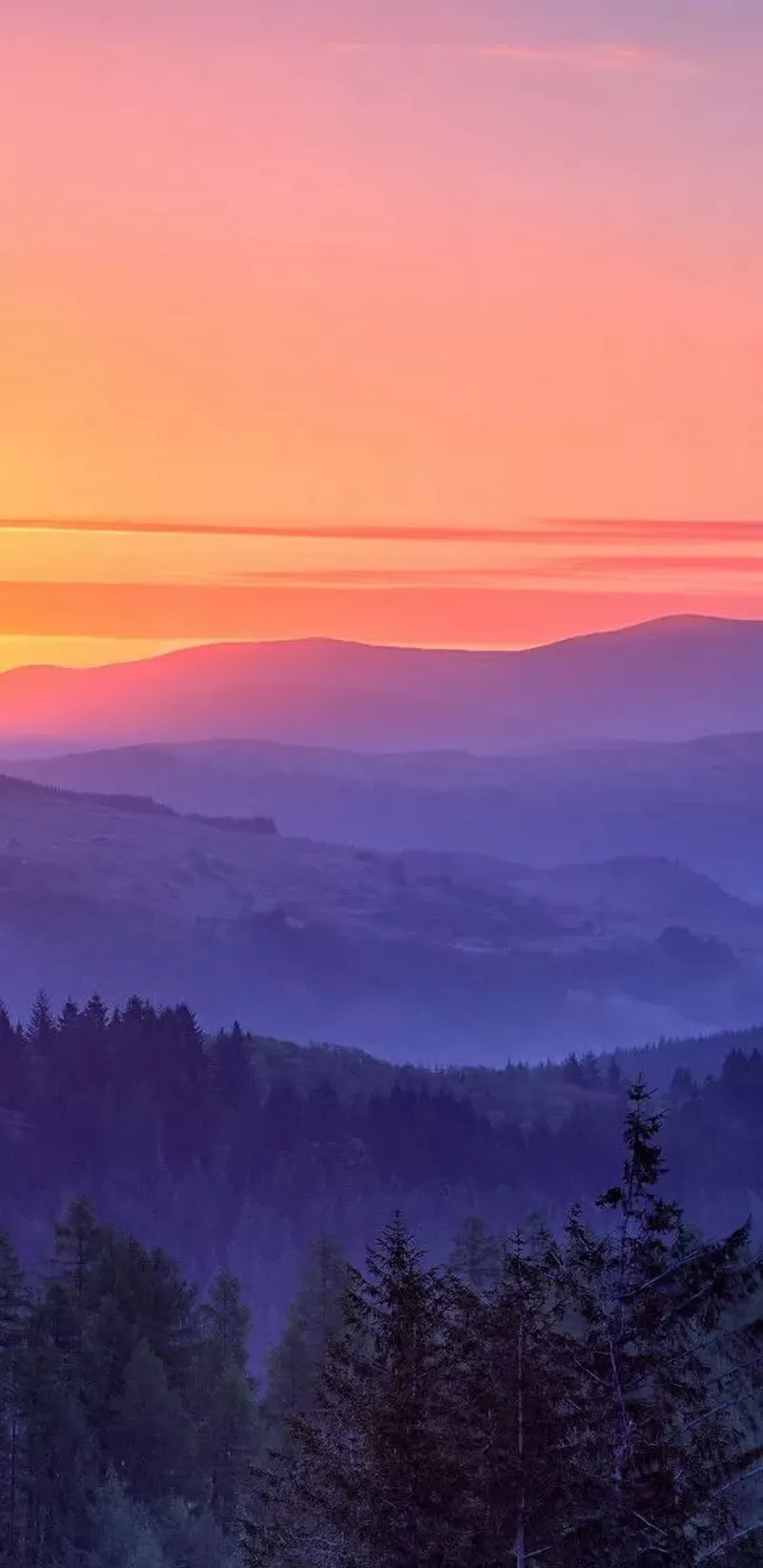 hình nền thiên nhiên 17