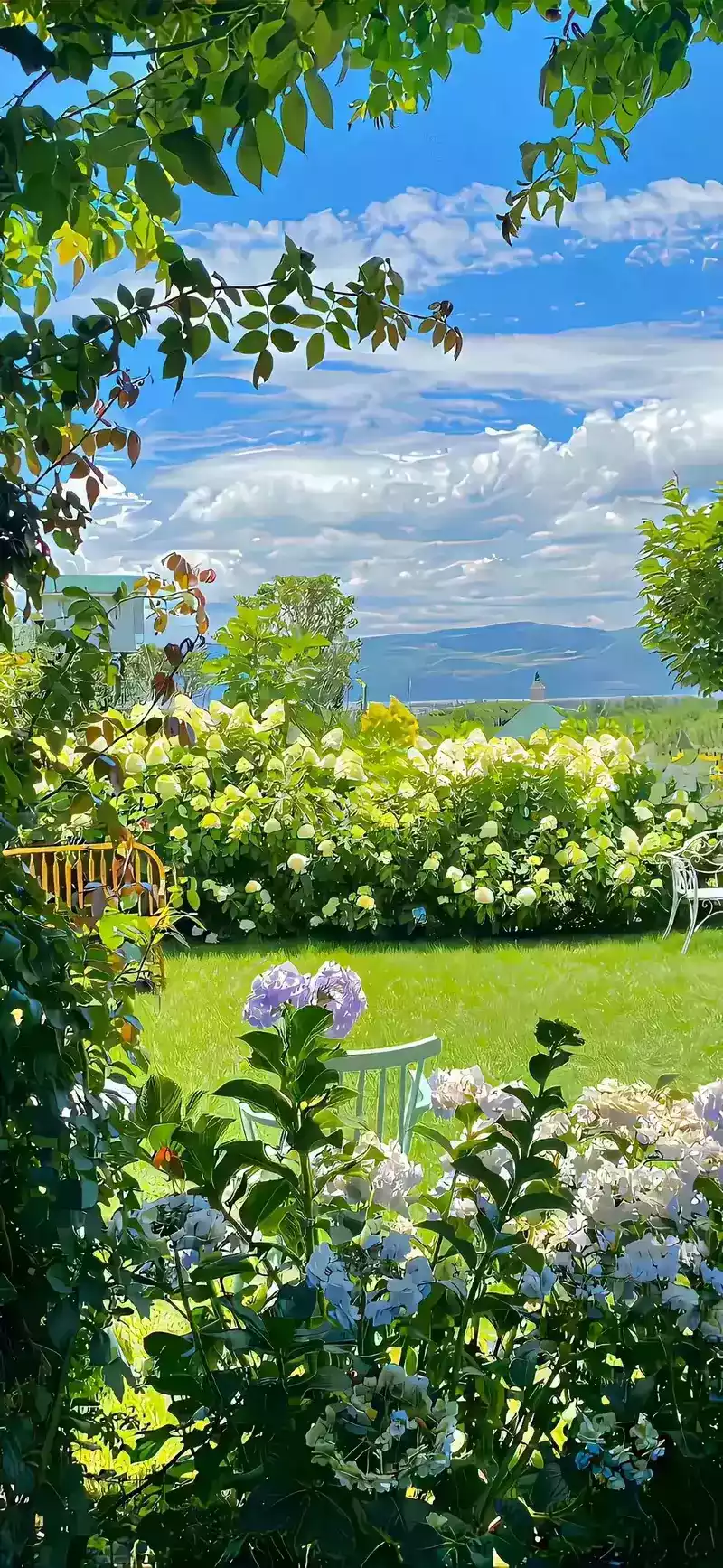 hình nền thiên nhiên 20