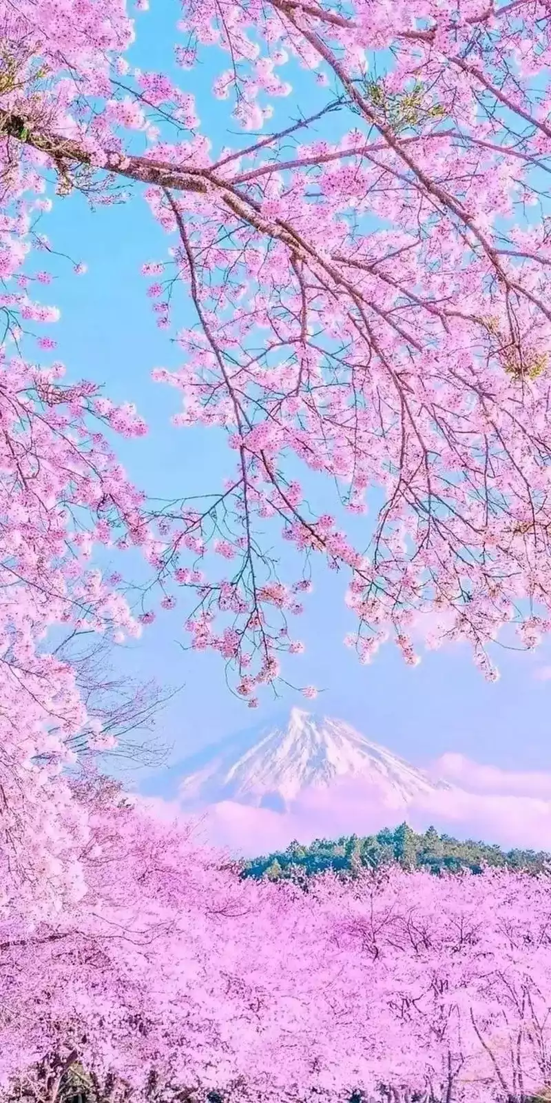 hình nền thiên nhiên 21