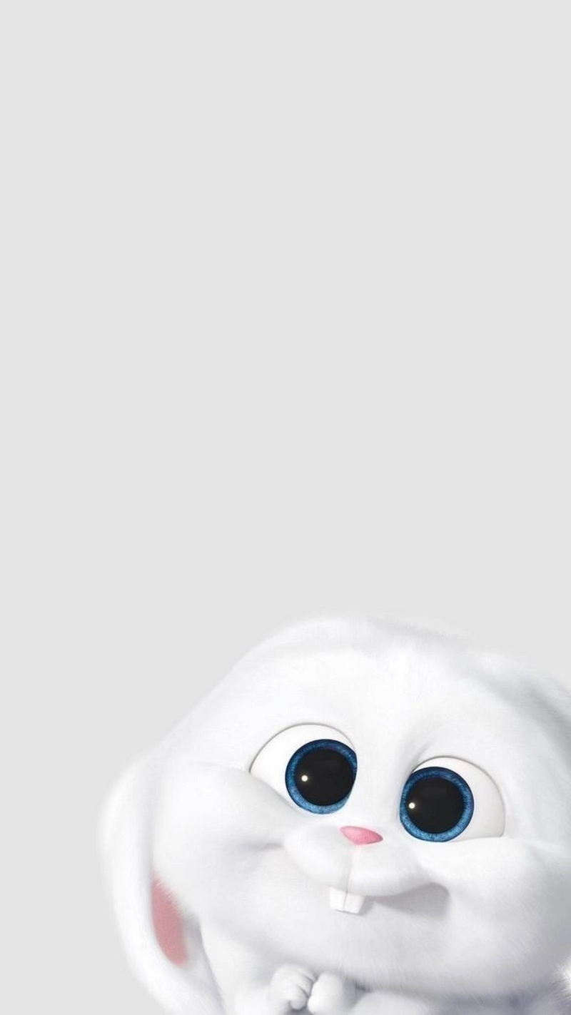 hình nền con thỏ 13