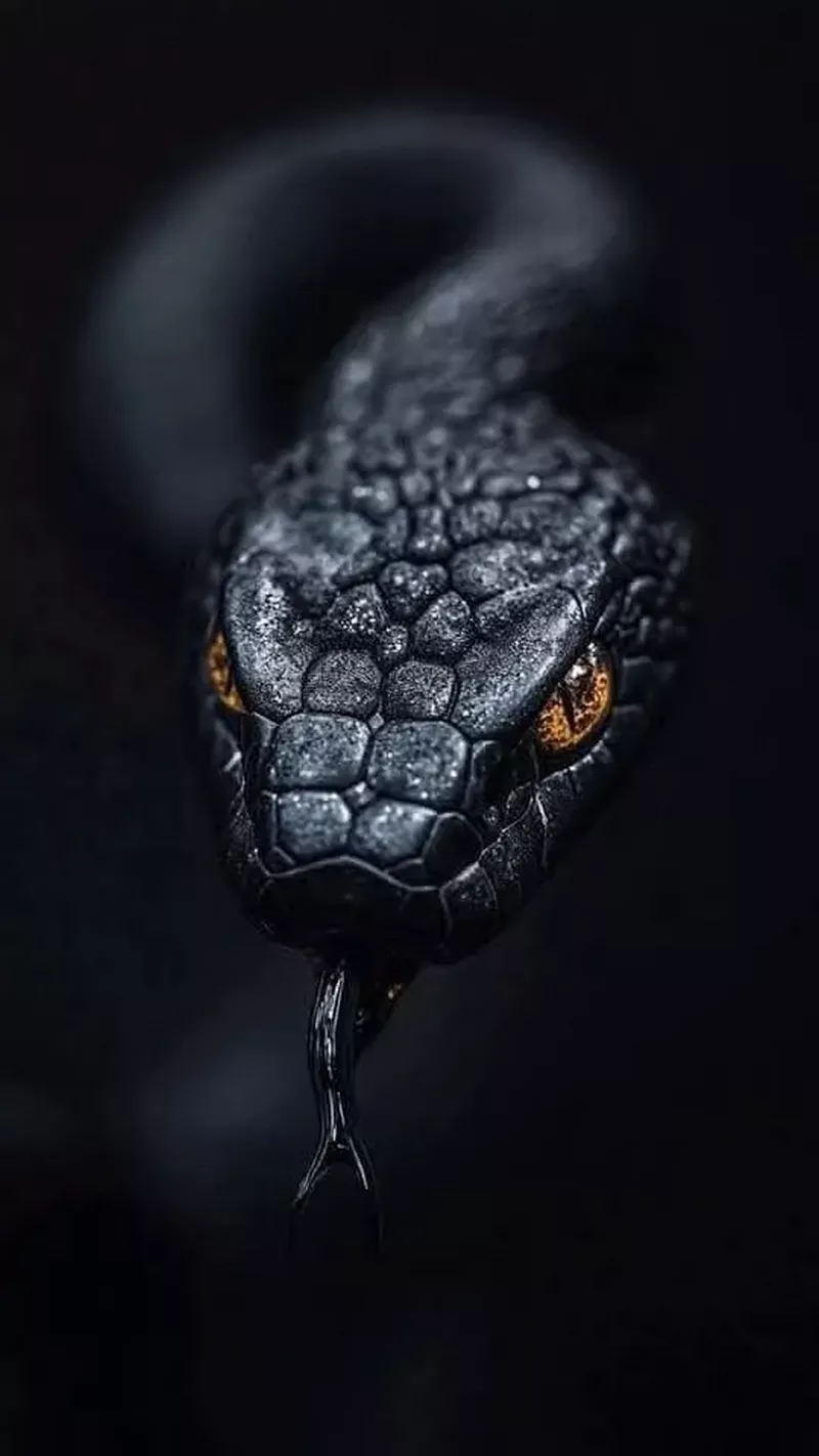 hình nền đen trắng 12