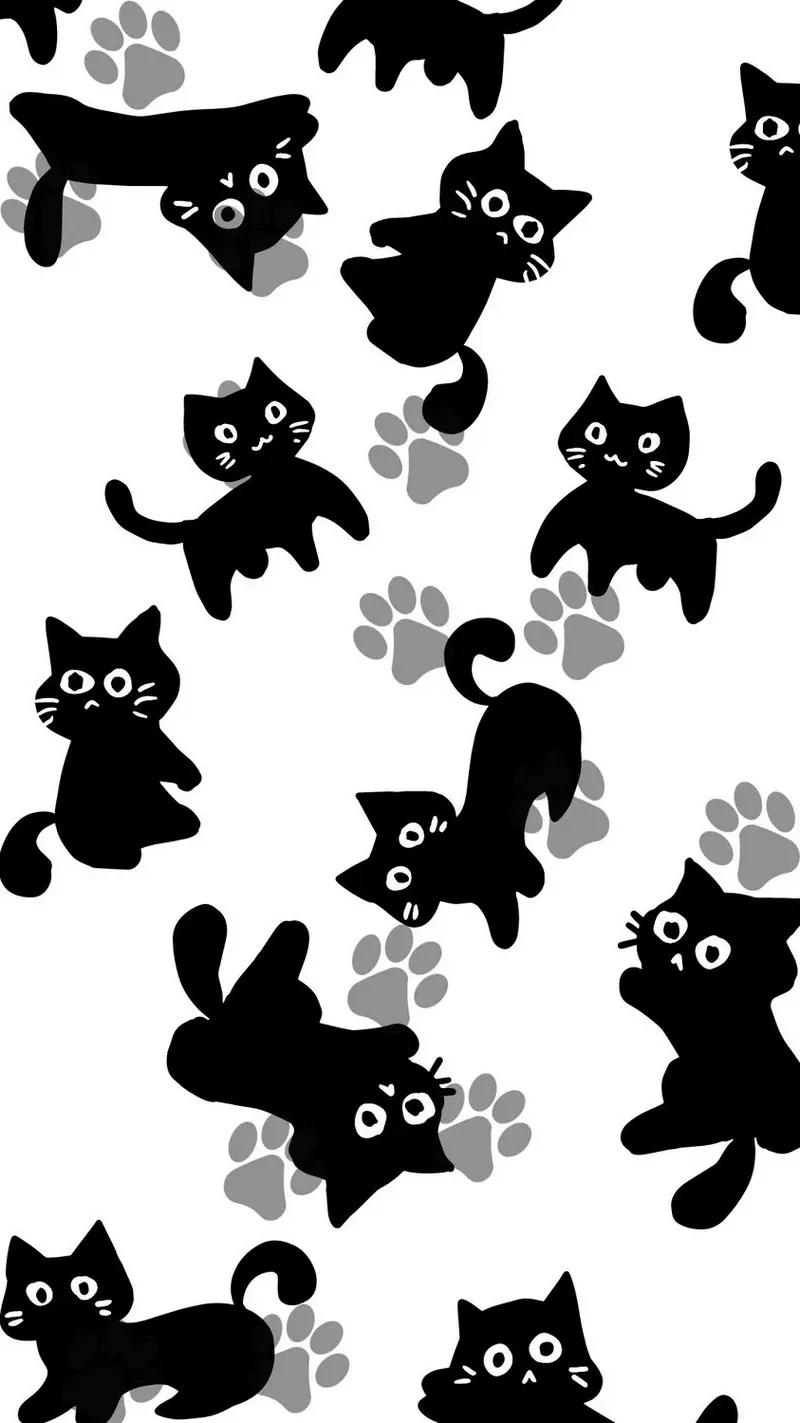 hình nền đen trắng 16