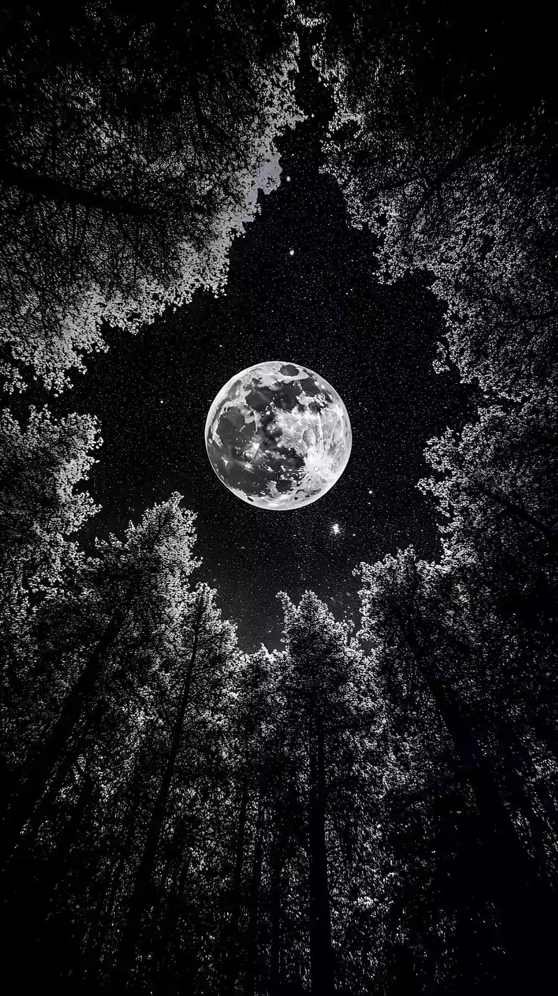 hình nền đen trắng 20