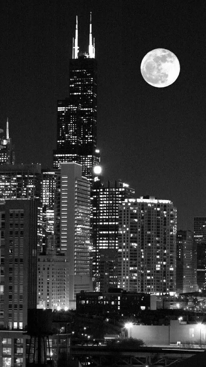 hình nền đen trắng 23