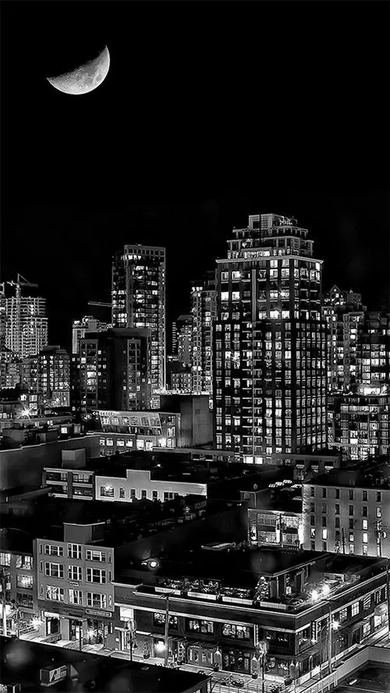 hình nền đen trắng 28