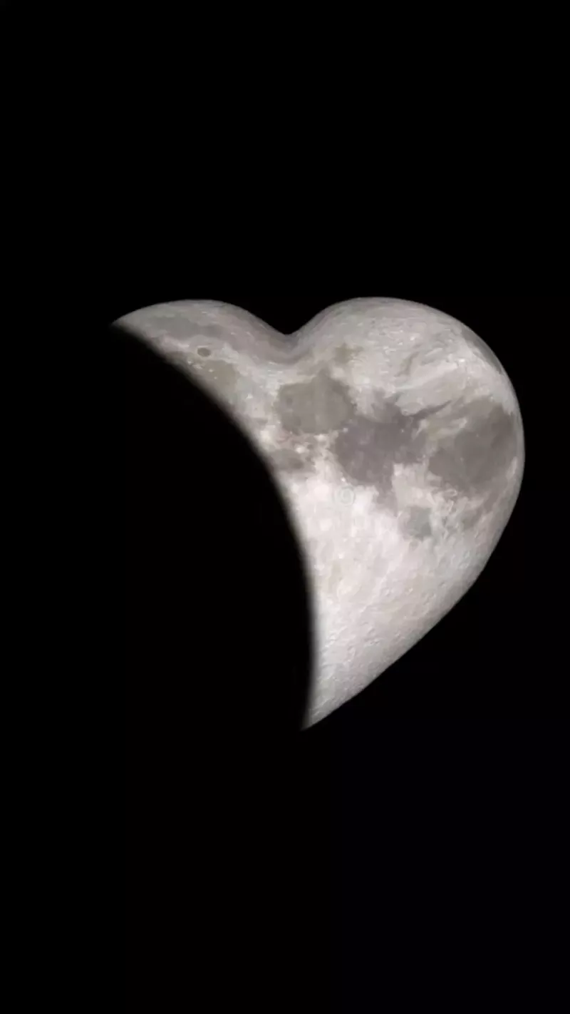 hình nền đen trắng 4