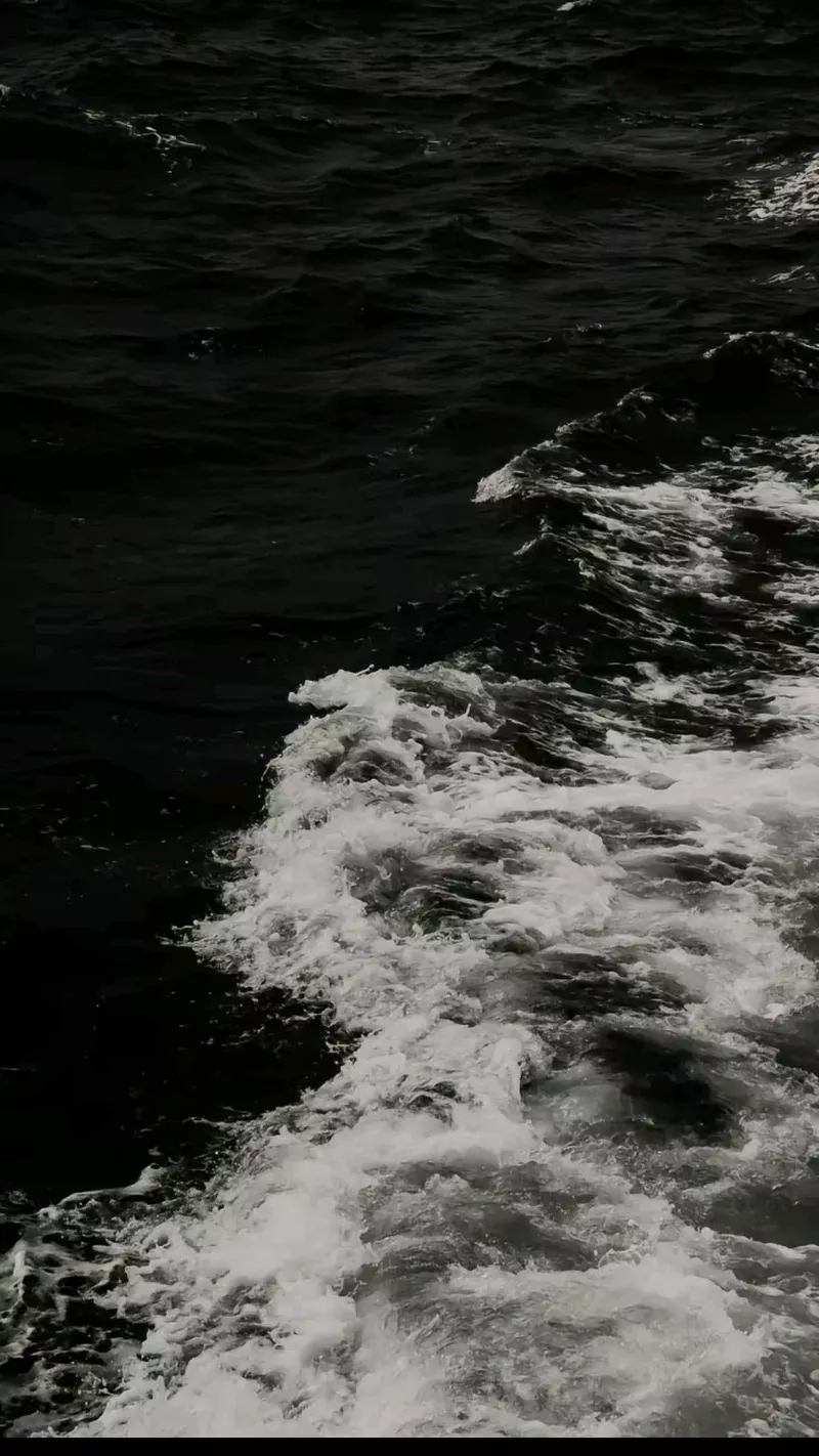 hình nền đen trắng 5