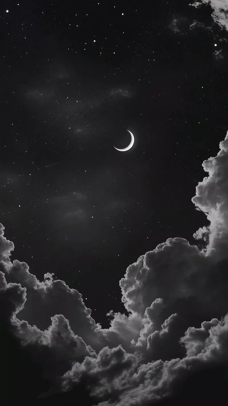 hình nền đen trắng 6