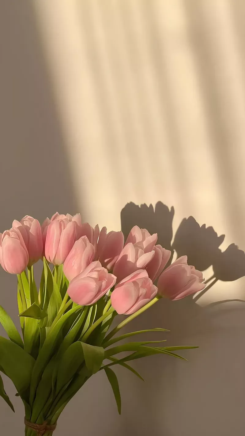 Hình nền hoa Tulip 14