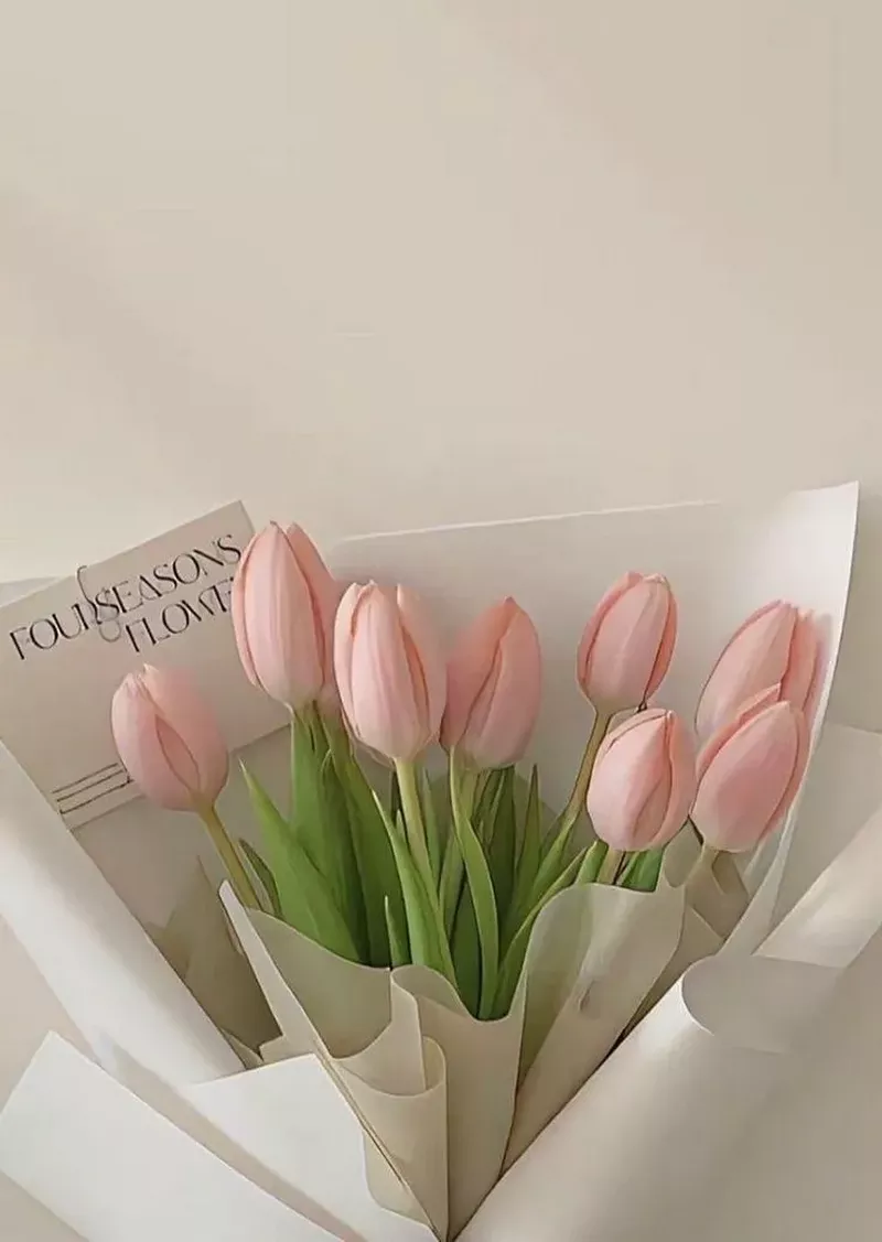 Hình nền hoa Tulip 42