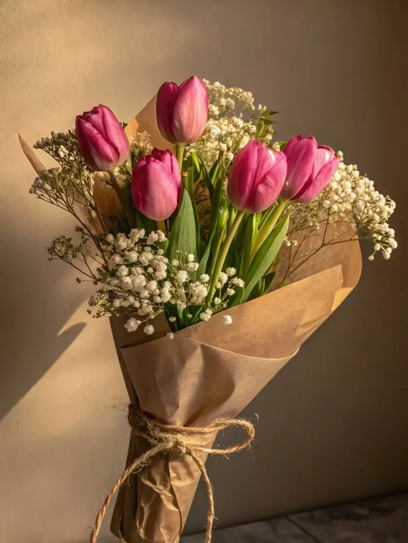 Hình nền hoa Tulip 40