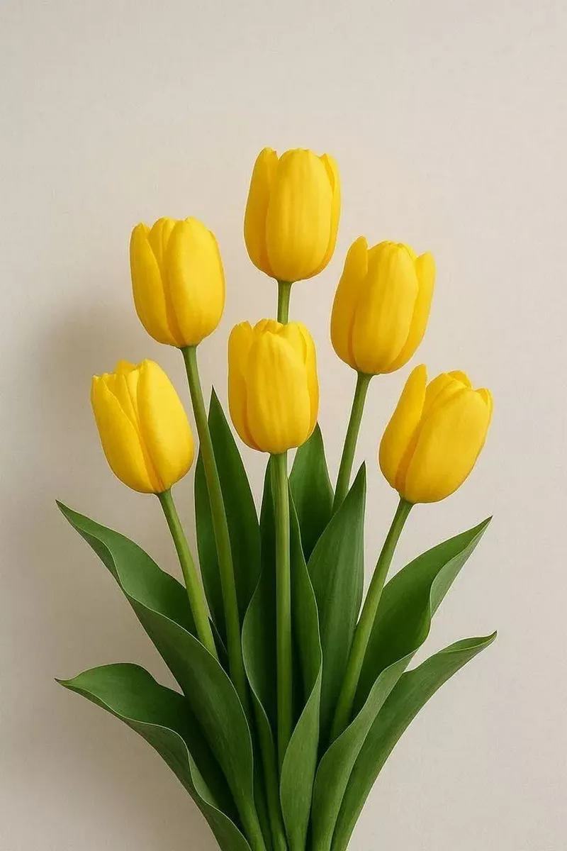 Hình nền hoa Tulip 36
