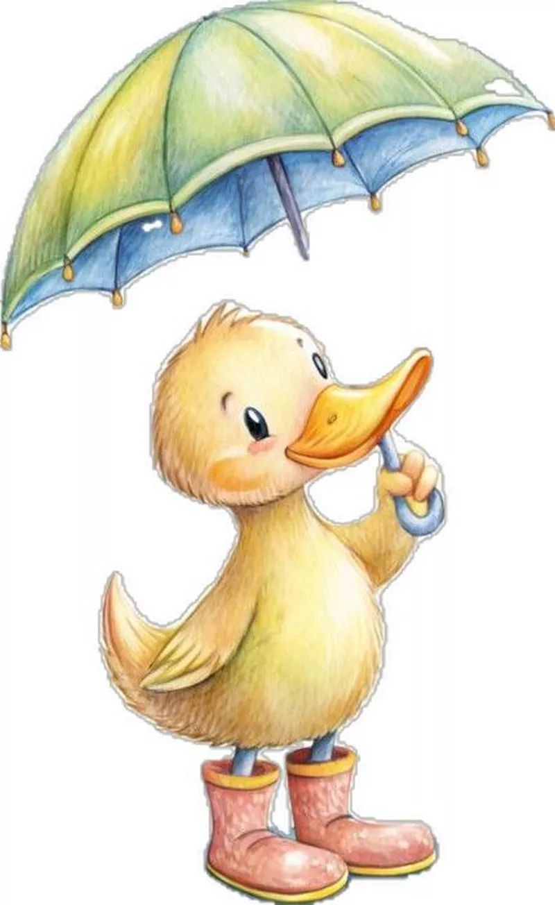 hình nền con vịt 10