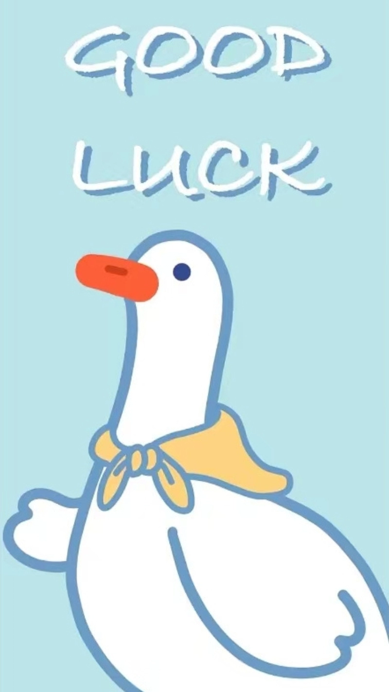 hình nền con vịt 32