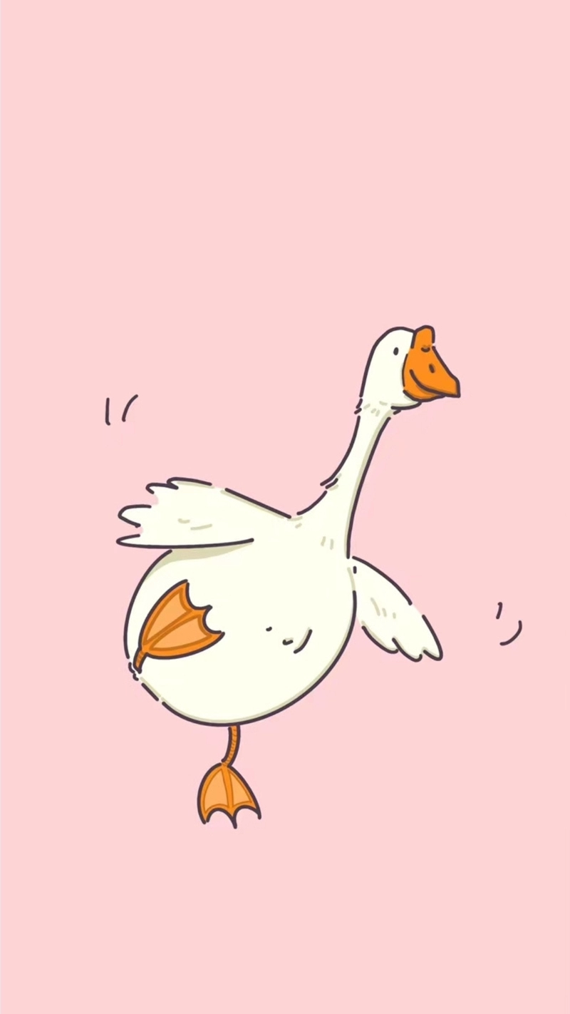 hình nền con vịt 41