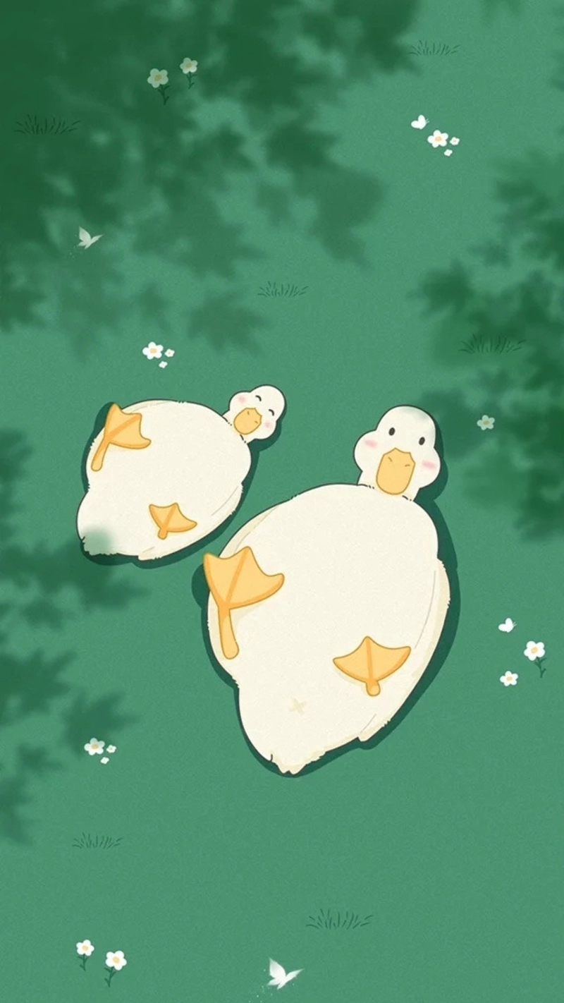 hình nền con vịt 42