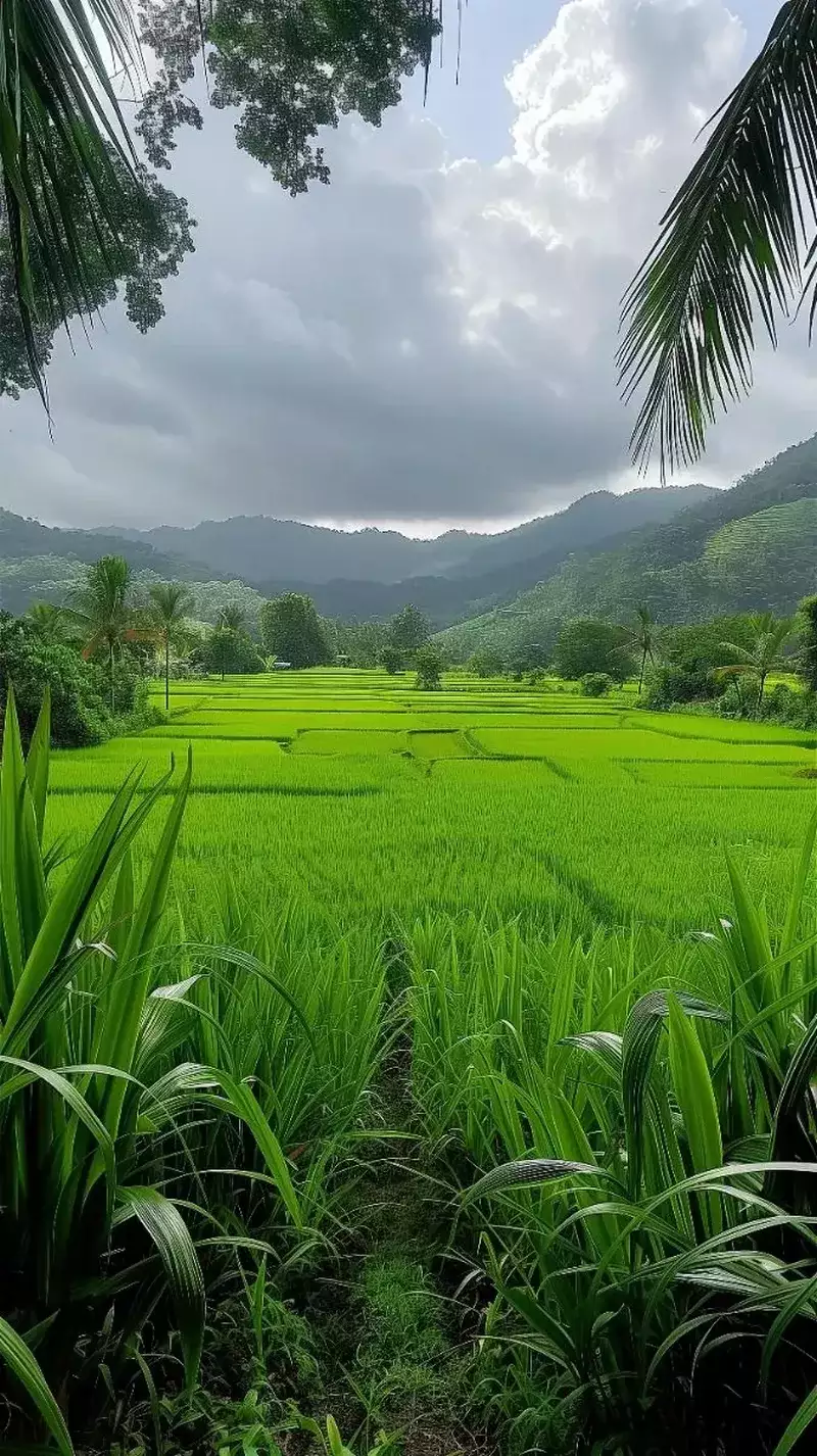 hình nền xanh lá 45