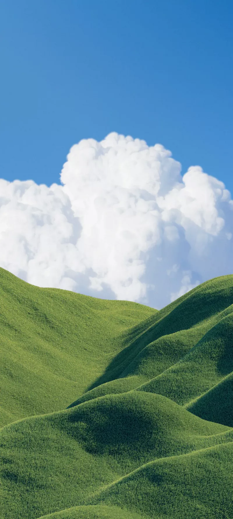 hình nền xanh lá 46