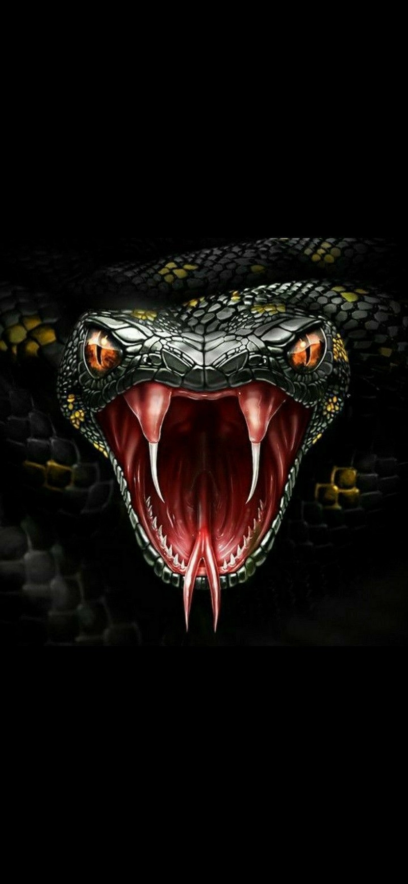 hình nền trăn anaconda 40