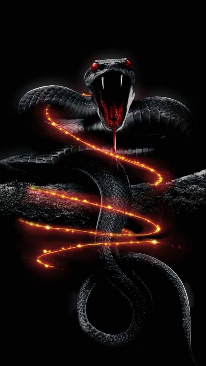 hình nền trăn anaconda 8