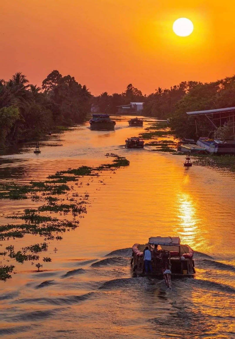 hình ảnh quê hương 13