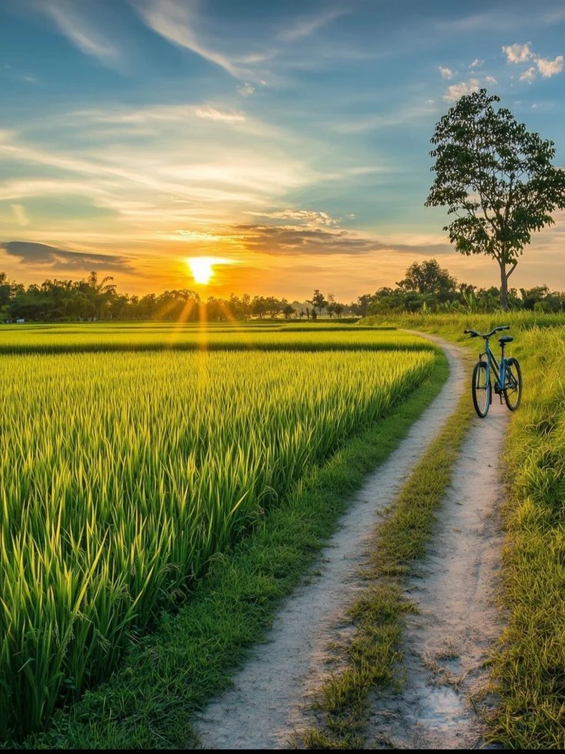 hình ảnh quê hương 16