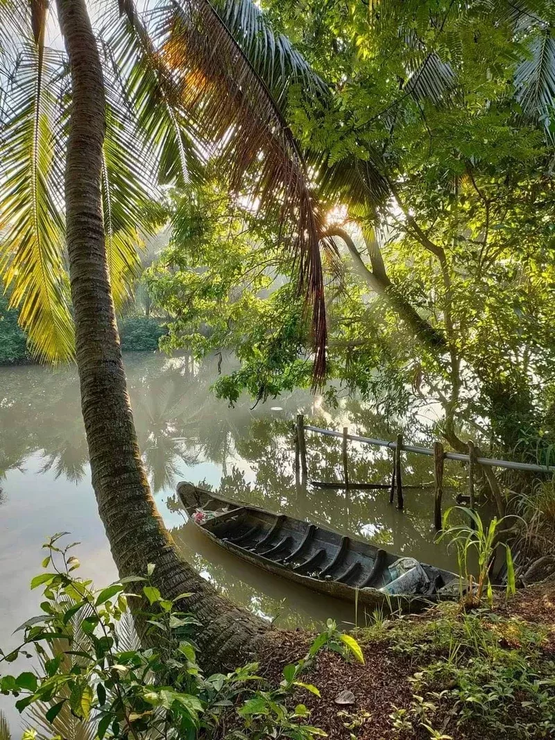 hình ảnh quê hương 21