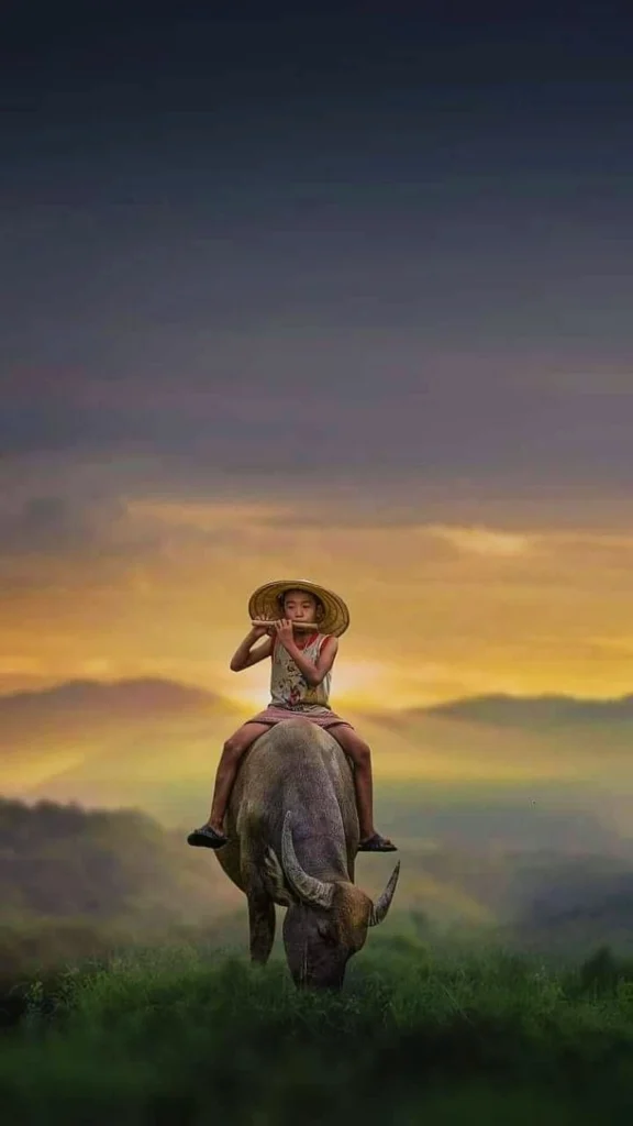 hình ảnh quê hương 22