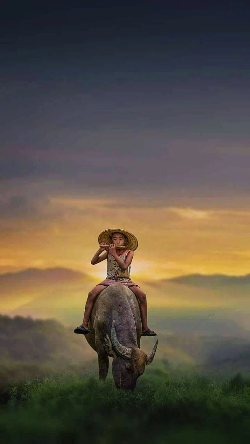 hình ảnh quê hương 22