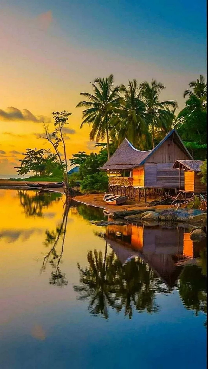 hình ảnh quê hương 41