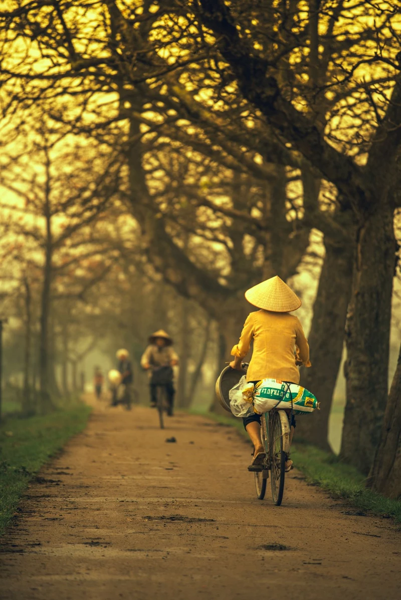 hình ảnh quê hương 46