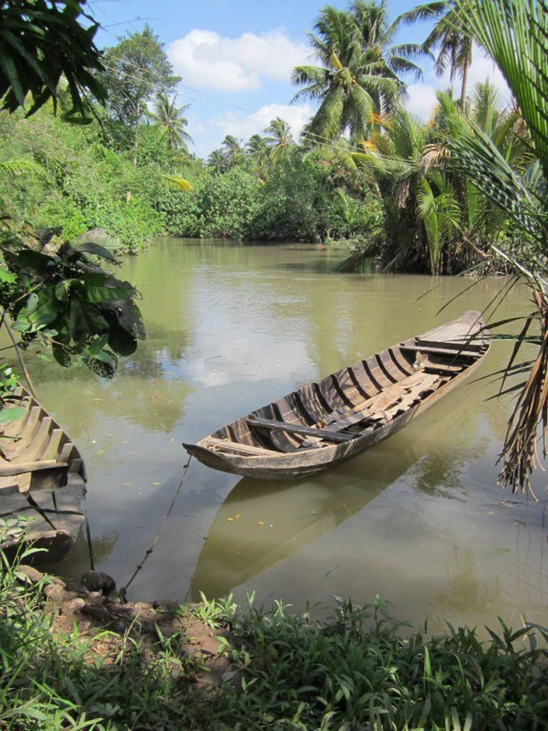 hình ảnh quê hương 5