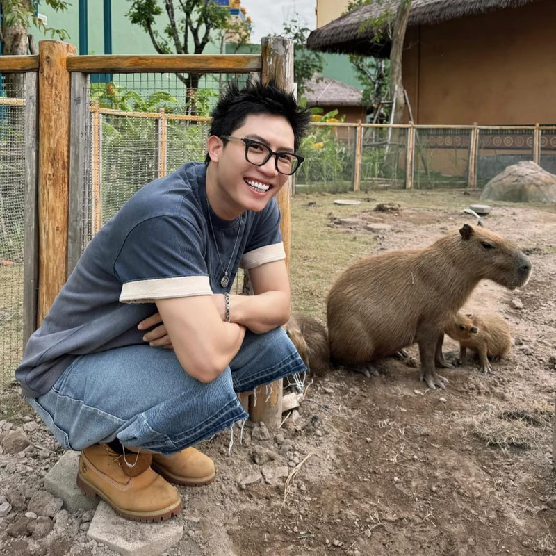 hình nền anh tú voi bản đôn 32