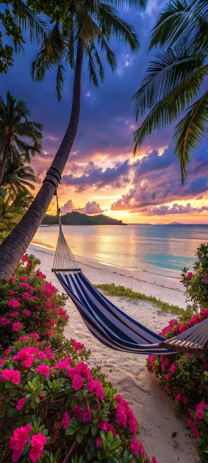 hình ảnh bình minh 27