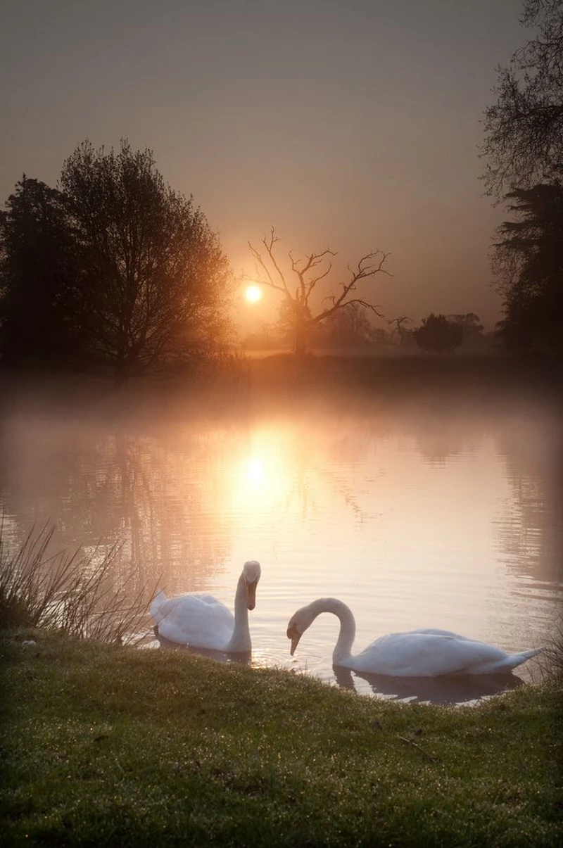 hình ảnh bình minh 38