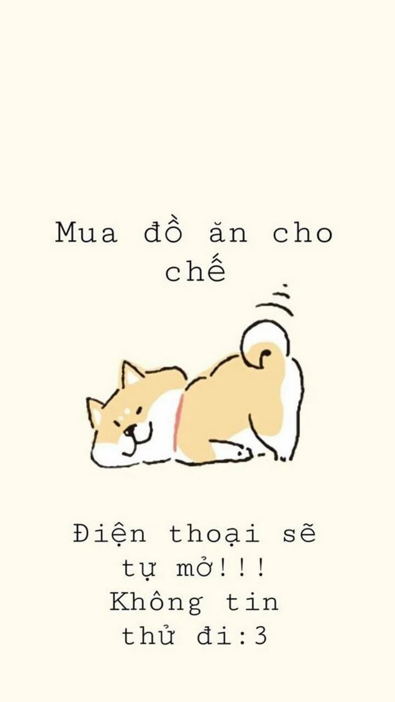 hình nền bỏ điện thoại tao xuống 10