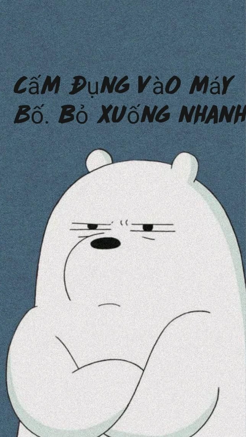 hình nền bỏ điện thoại tao xuống 14