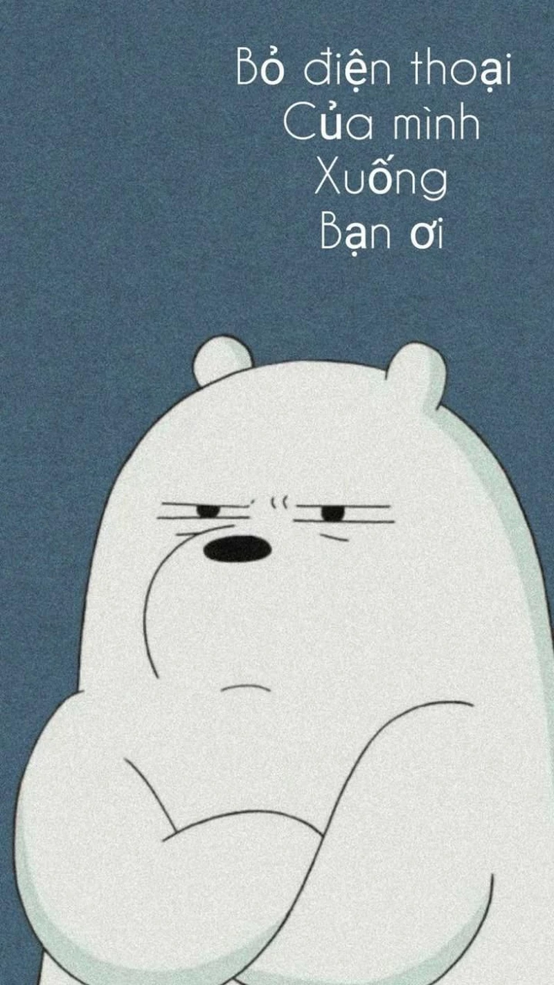 hình nền bỏ điện thoại tao xuống 22