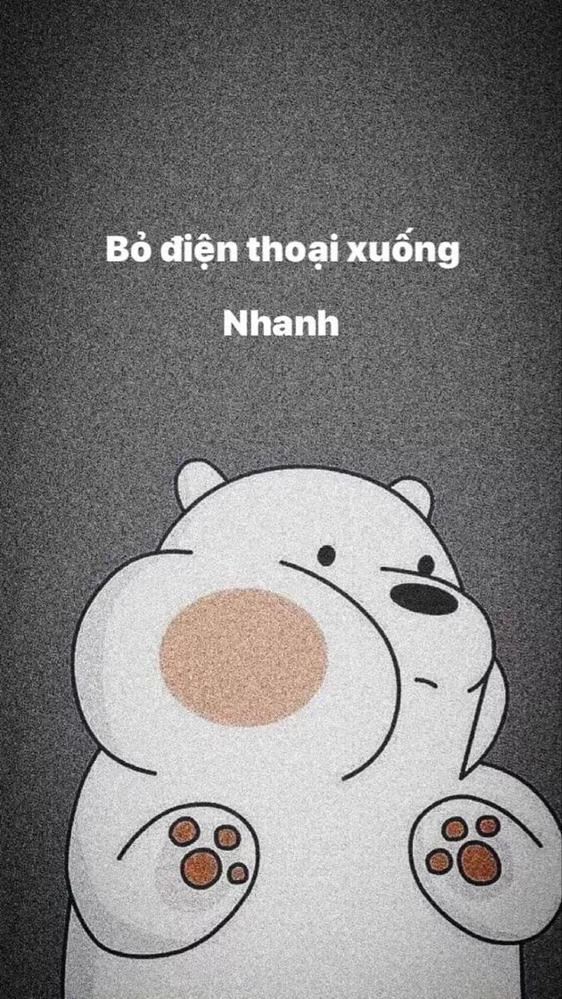 hình nền bỏ điện thoại tao xuống 24
