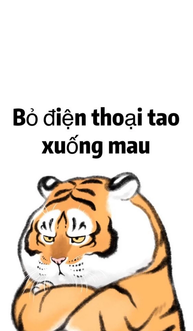 hình nền bỏ điện thoại tao xuống 4