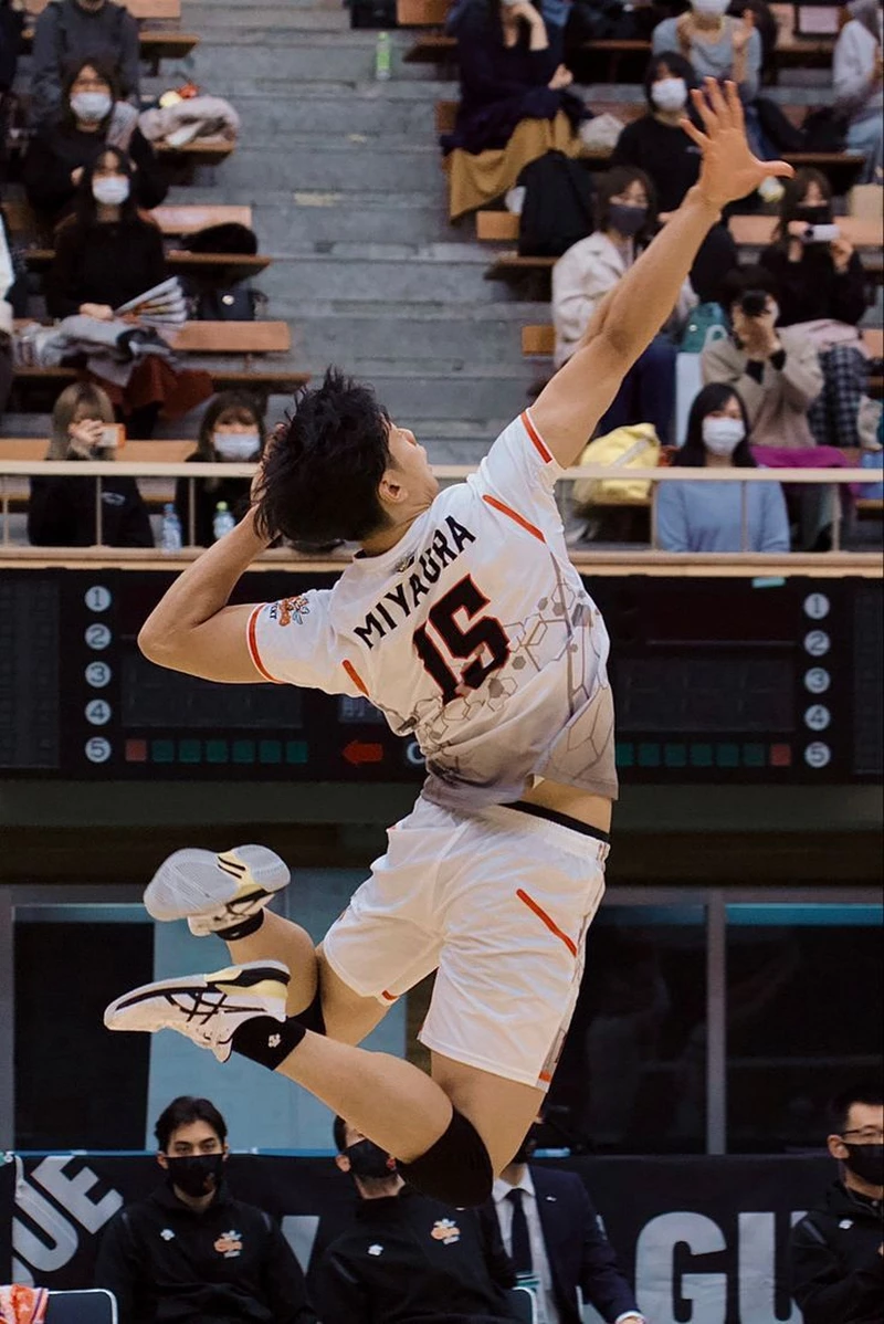 hình nền bóng chuyền 12