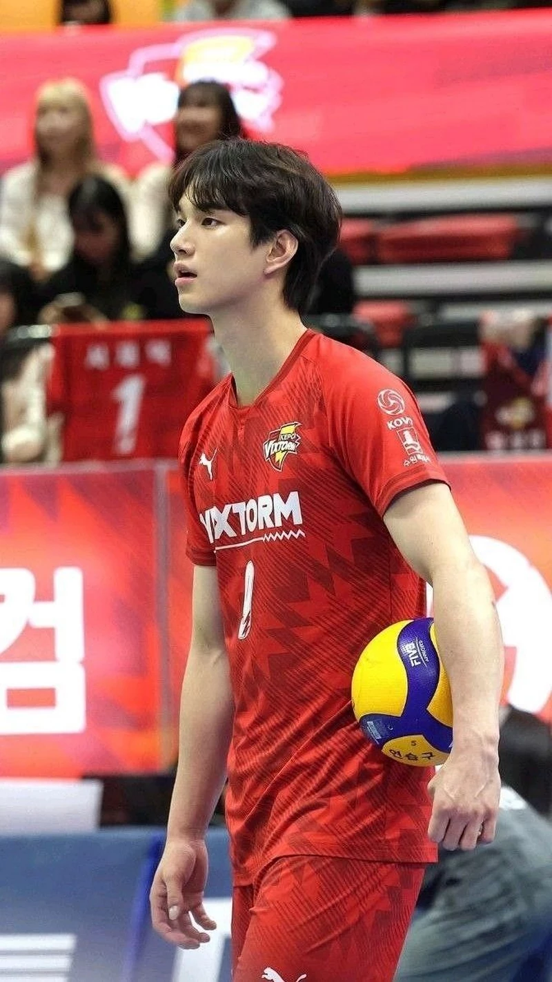 hình nền bóng chuyền 4