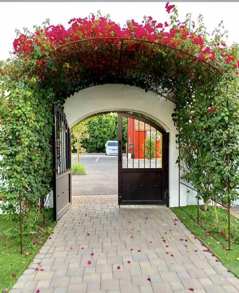 hình ảnh cổng nhà đẹp 18