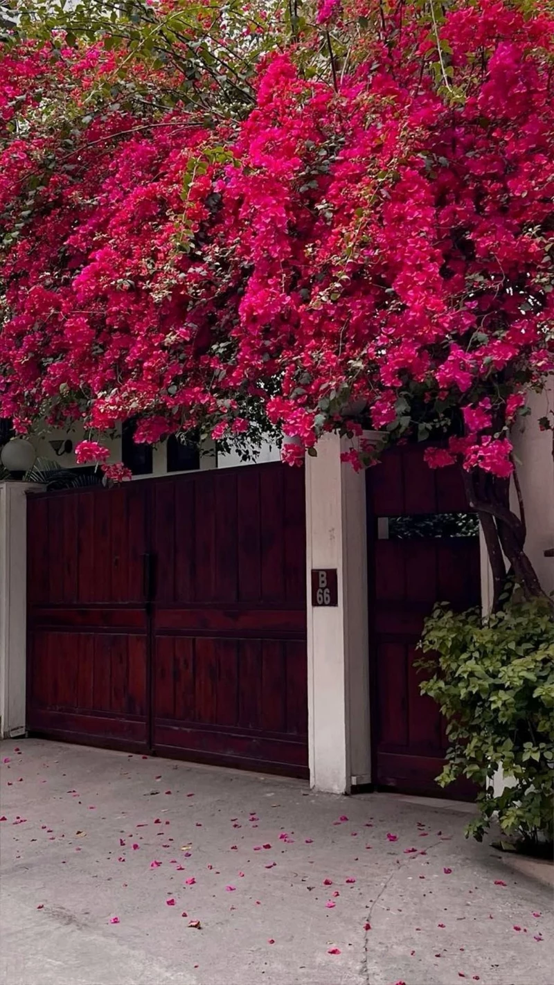 hình ảnh cổng nhà đẹp 27