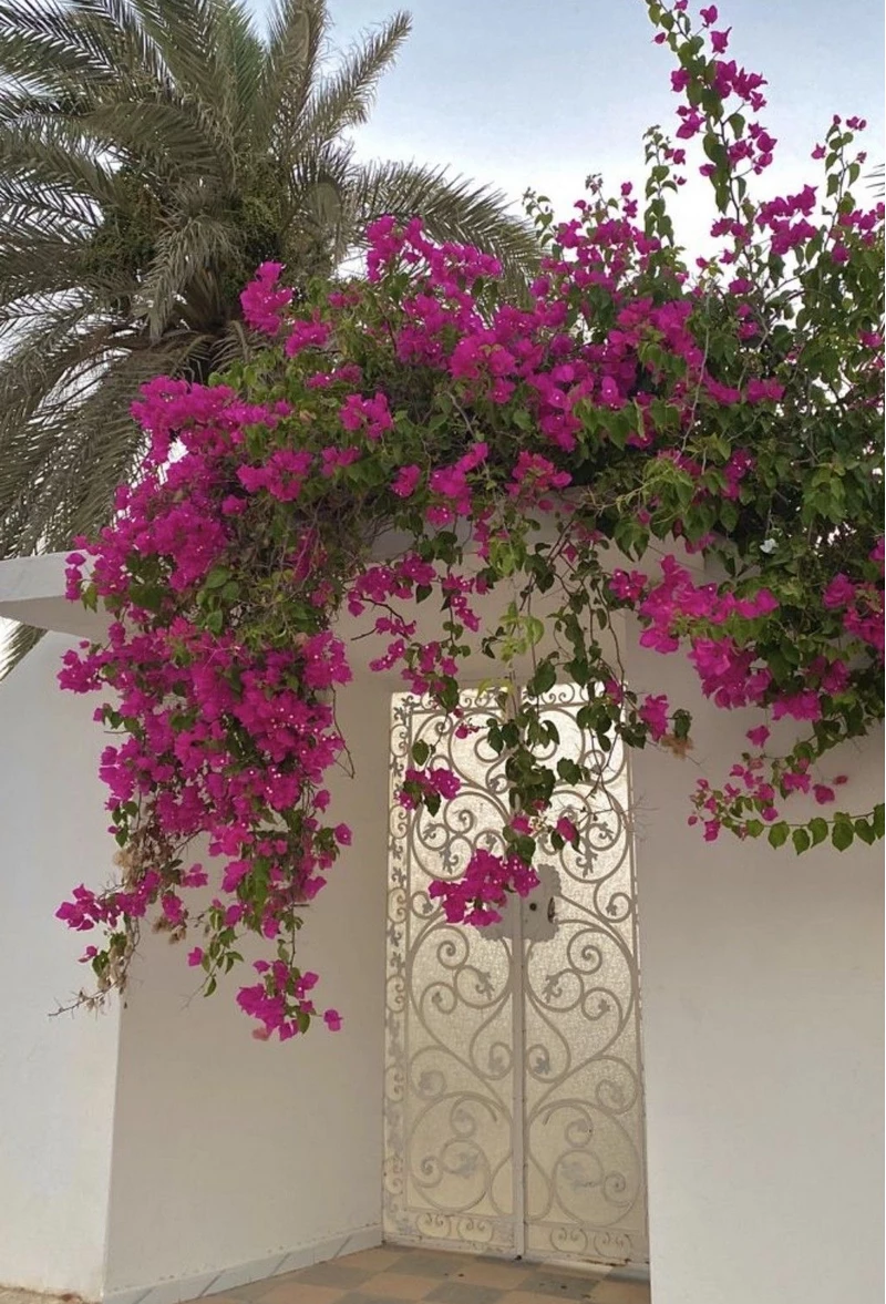 hình ảnh cổng nhà đẹp 50