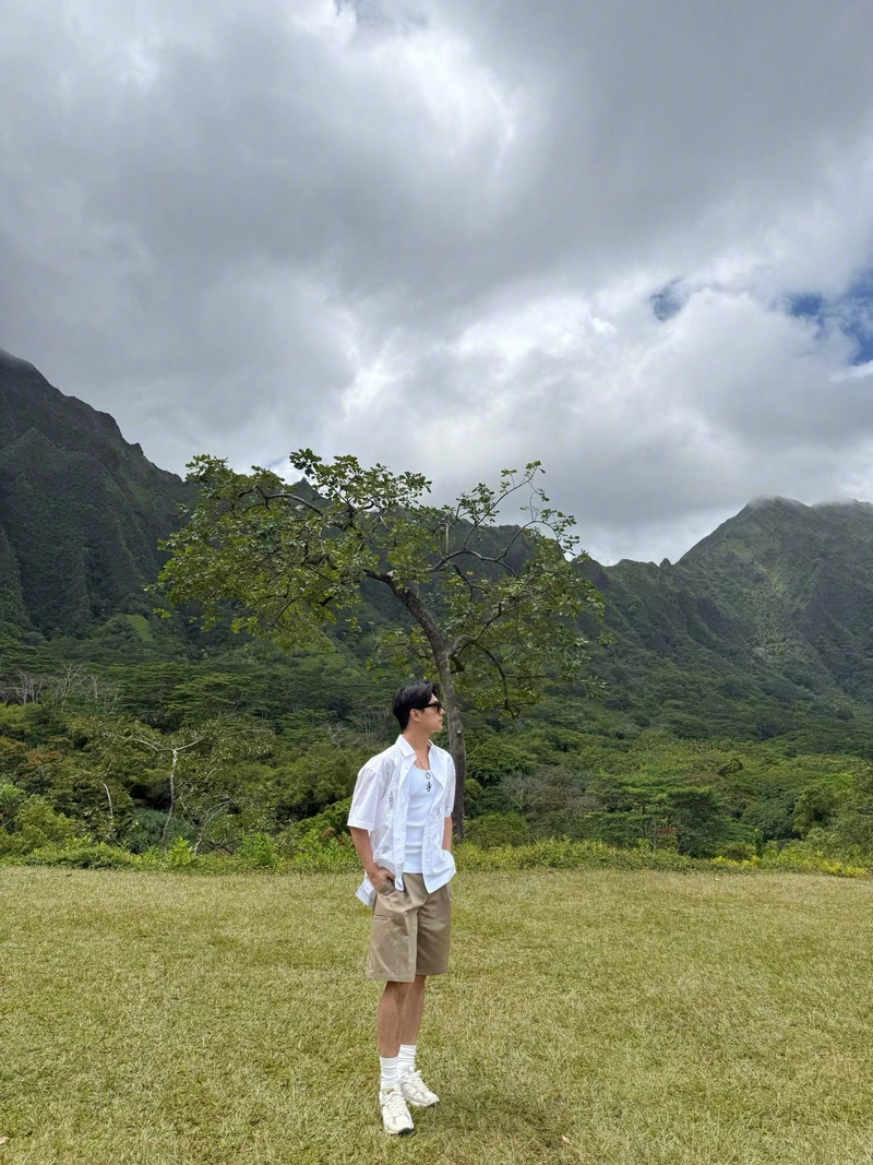 hình nền dương dương 50