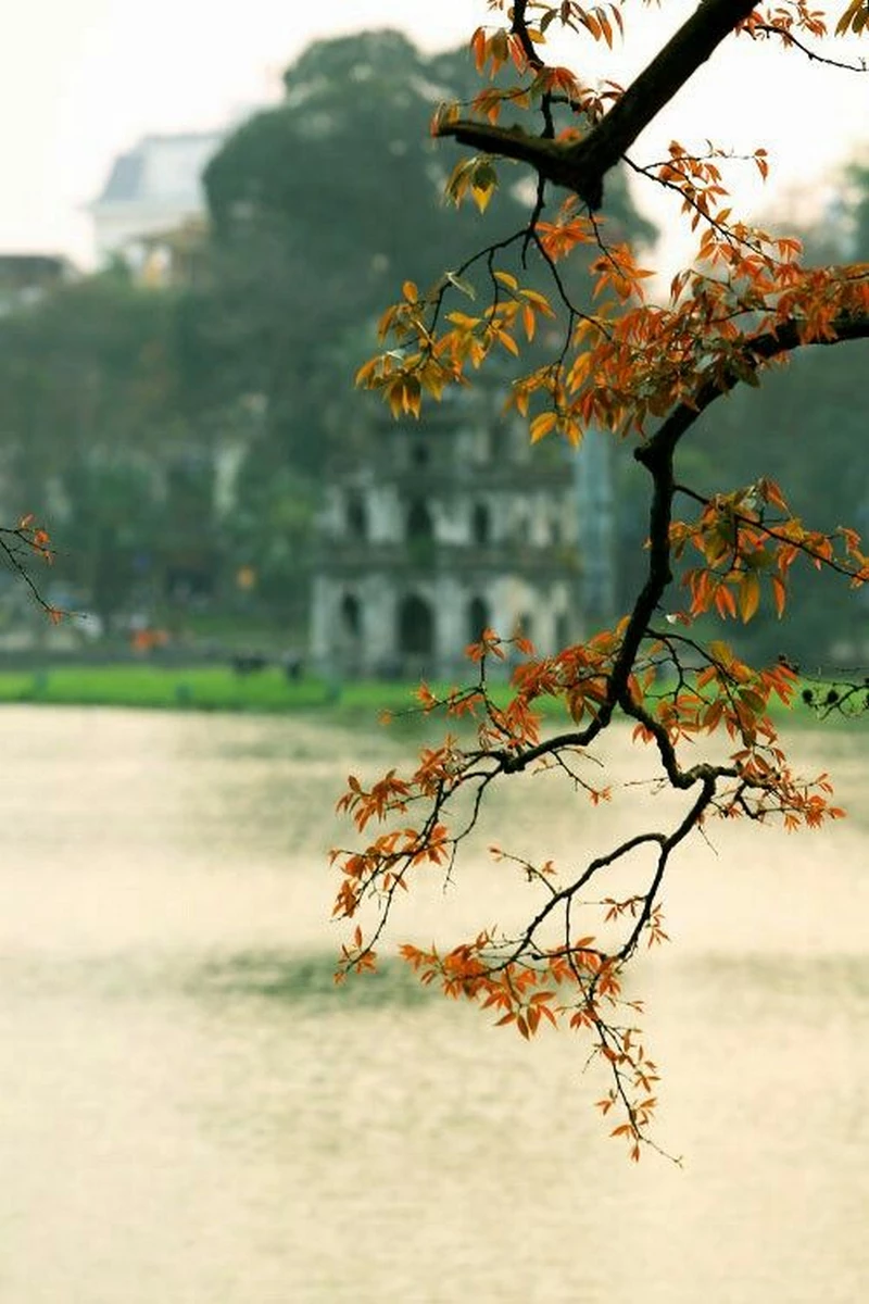 ảnh hồ hoàn kiếm 25