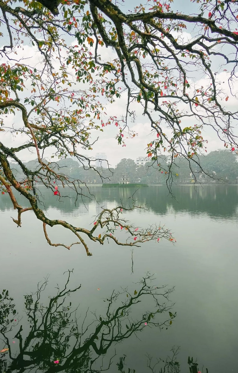 ảnh hồ hoàn kiếm 8