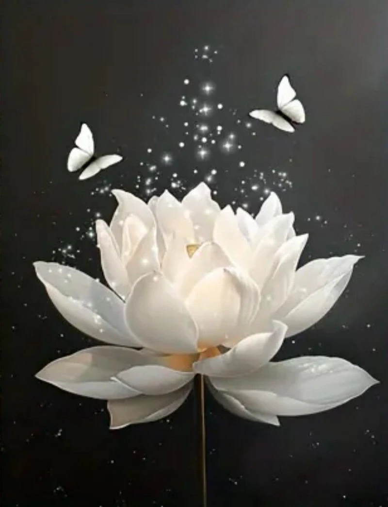 hình ảnh hoa sen đen 18